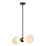 Подвесной светильник Odeon Light Elica 5418/2