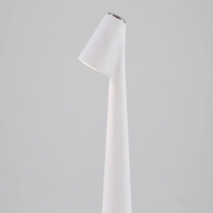 Настольная лампа Africa L’ARTE LUCE LUXURY L69830.02