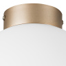 Плафон потолочный Globo Lightstar 812023