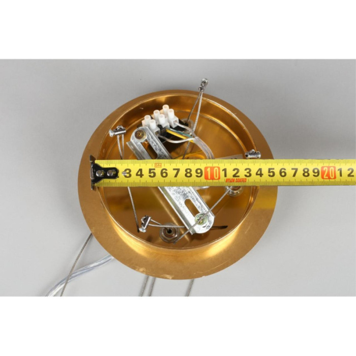 Люстра подвесная Aployt Rochell APL.850.03.13