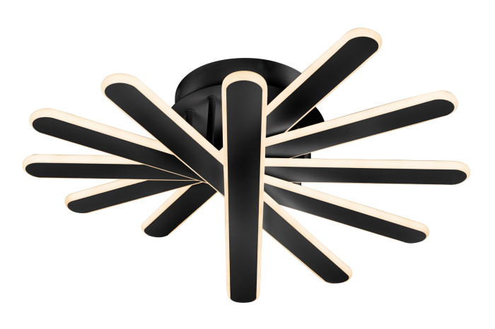 Потолочная люстра iLedex Twinkle 9043-6-X-T BK