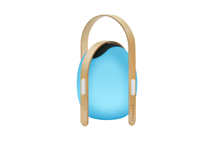 Настольный светильник iLedex Giggle OVS0990-CH WH