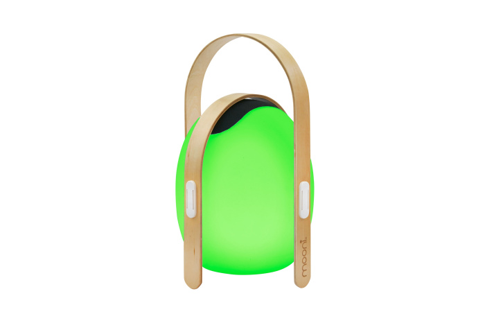 Настольный светильник iLedex Giggle OVS0990-CH WH