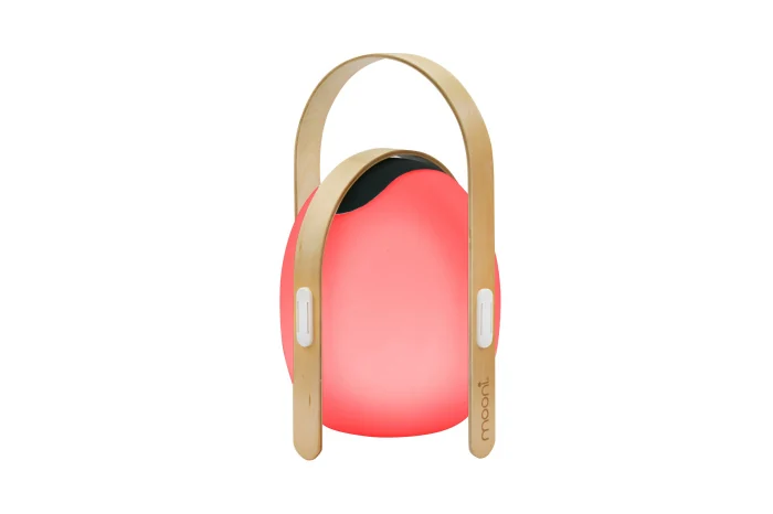 Настольный светильник iLedex Giggle OVS0990-CH WH