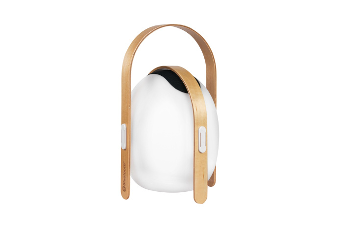 Настольный светильник iLedex Giggle OVS0990-CH WH