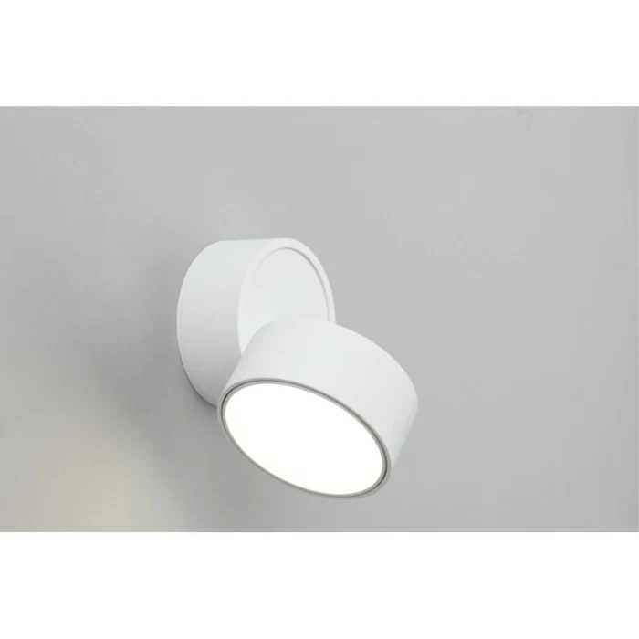 Спот Omnilux Lenno OML-101309-12