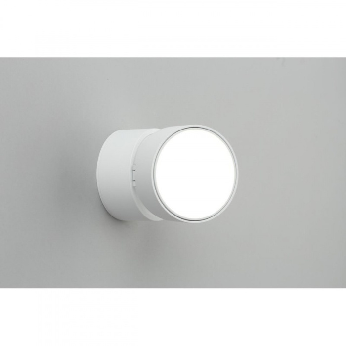 Спот Omnilux Lenno OML-101309-12