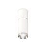 Комплект накладного светильника Ambrella light XS6322060