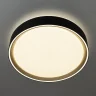 Потолочный светильник Citilux Boss CL751251G