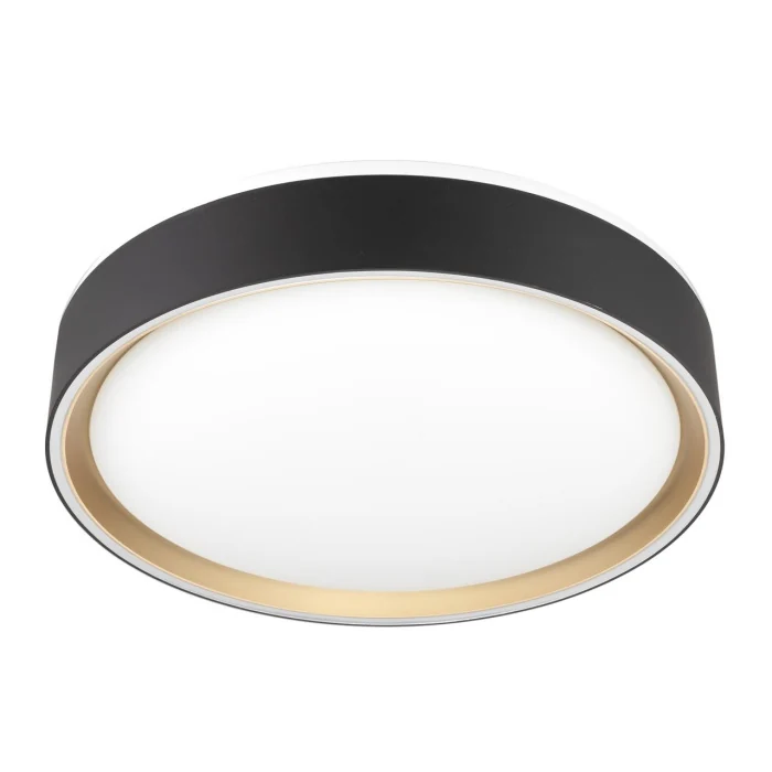 Потолочный светильник Citilux Boss CL751251G