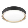 Потолочный светильник Citilux Boss CL751251G