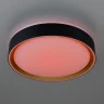 Потолочный светильник Citilux Boss CL751251G
