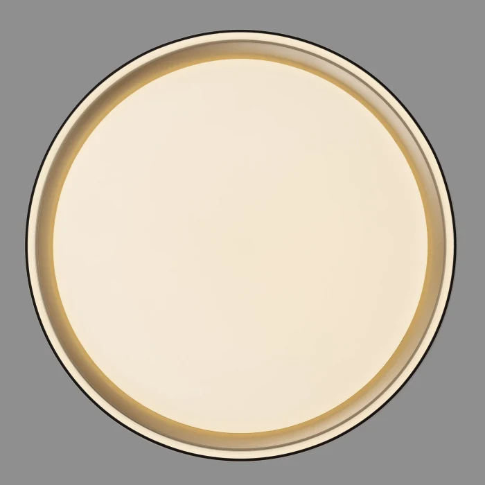 Светильник потолочный Citilux BOSS CL751251G