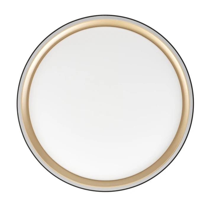 Светильник потолочный Citilux BOSS CL751251G