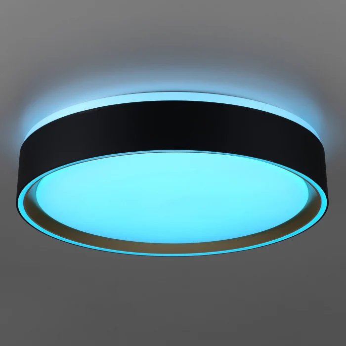 Светильник потолочный Citilux BOSS CL751251G