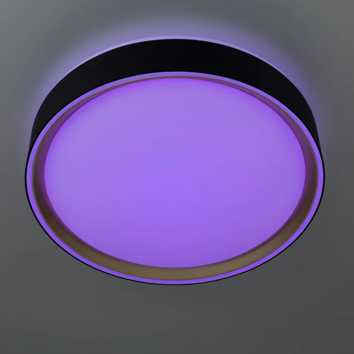 Светильник потолочный Citilux BOSS CL751251G