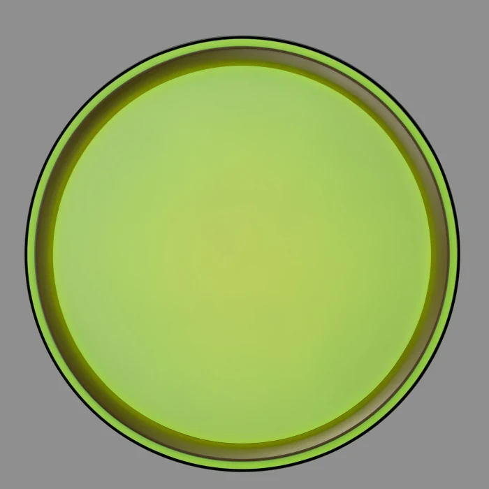 Светильник потолочный Citilux BOSS CL751251G