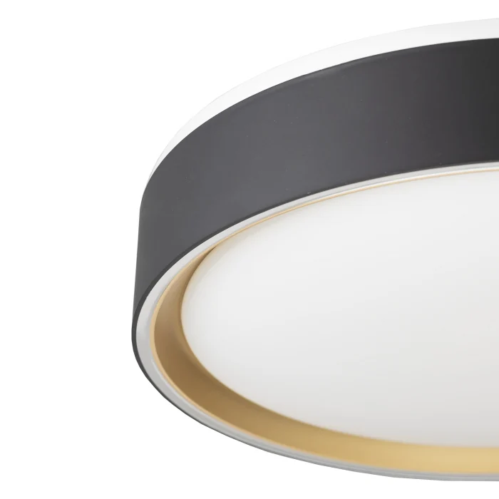 Светильник потолочный Citilux BOSS CL751251G