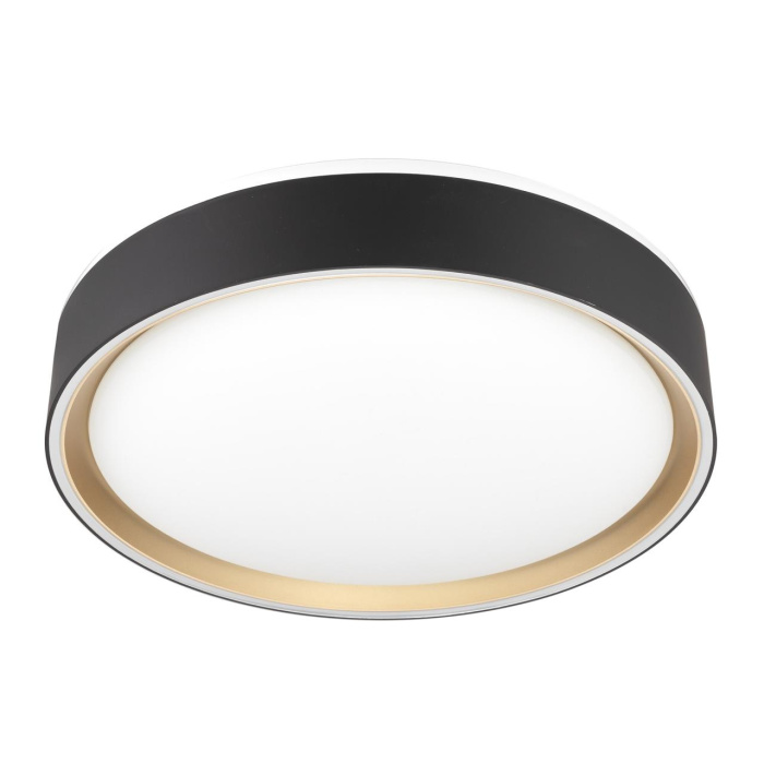 Потолочный светильник Citilux Boss CL751251G