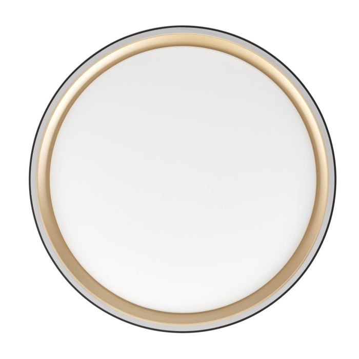 Потолочный светильник Citilux Boss CL751251G