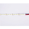 Светодиодная лента Ambrella Light GS1312 2835 180Led /14.4W m/12V IP20 4500K 5m/кратность резки 33mm AMBRELLA light GS1312