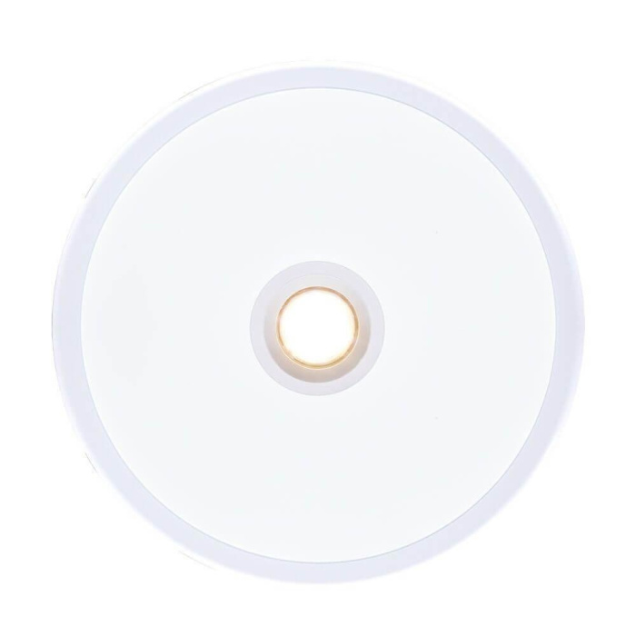 Встраиваемый светодиодный светильник Arte Lamp A2517PL-2WH