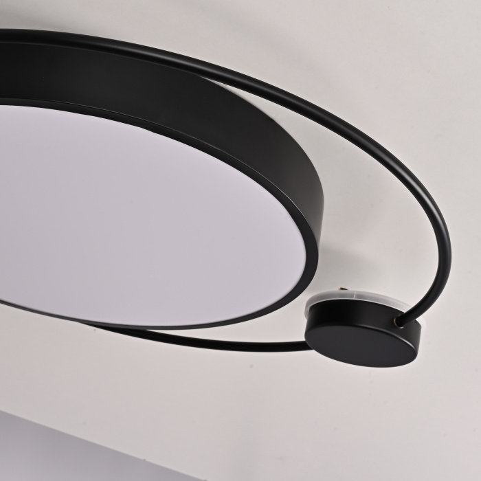 Потолочный светильник DESTIN D50 Black ImperiumLoft