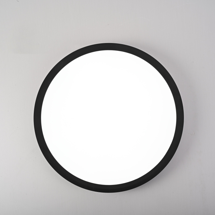 Потолочный светильник SLIM D30 Черный ImperiumLoft