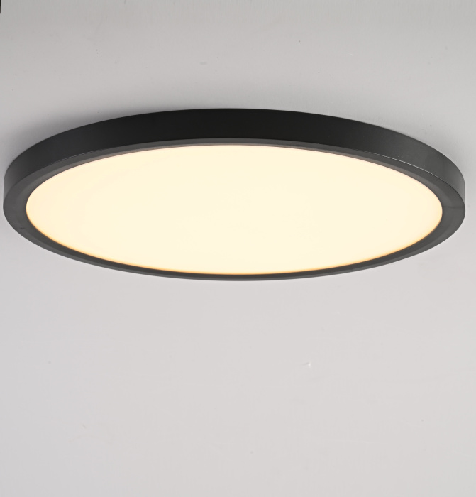 Потолочный светильник SLIM D30 Черный ImperiumLoft