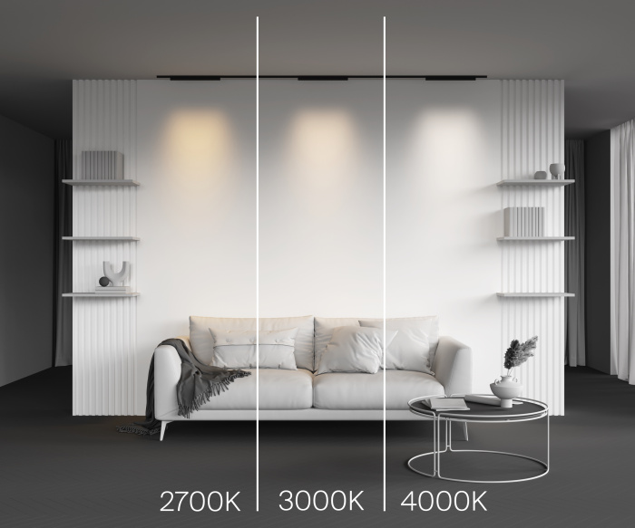 Трековый светильник Maytoni Points TR193-1-20W4K-M-B