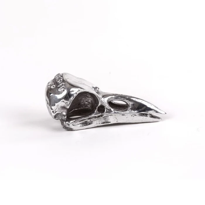 Статуэтка Seletti Wunderkammer Bird Skull 10895