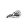 Статуэтка Seletti Wunderkammer Bird Skull 10895