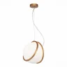 Подвесной светильник ST LUCE ACERRA SL1181.353.01