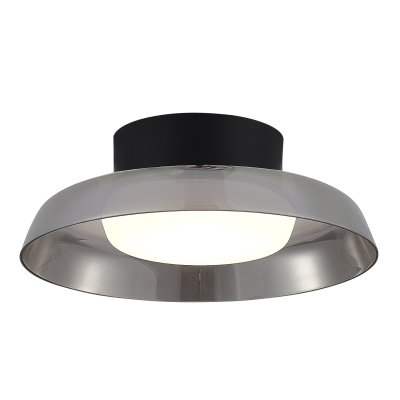 Потолочный светильник ST Luce Foray SL6019.412.01
