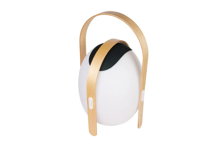 Настольный светильник iLedex Giggle OVS1100-CH WH