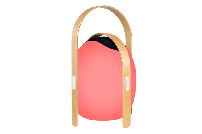 Настольный светильник iLedex Giggle OVS1100-CH WH