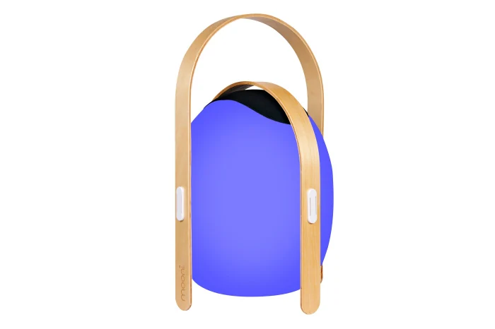 Настольный светильник iLedex Giggle OVS1100-CH WH