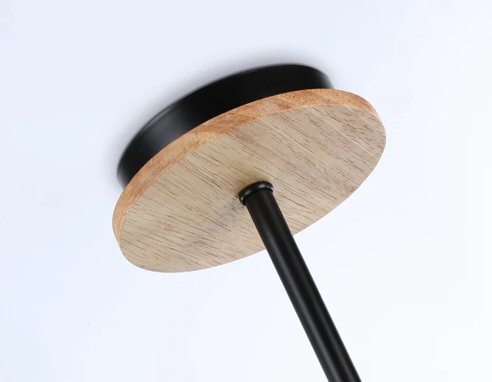 Потолочный светодиодный светильник Ambrella light FL51619