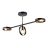 Потолочный светильник со сменной лампой Ambrella light TR8229