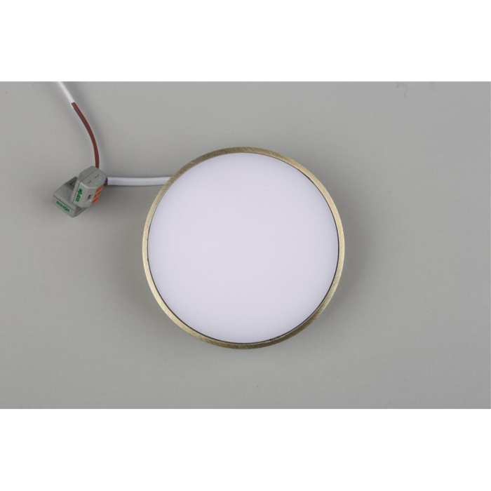 Светильник настенно-потолочный Aployt Evon APL.0113.29.12