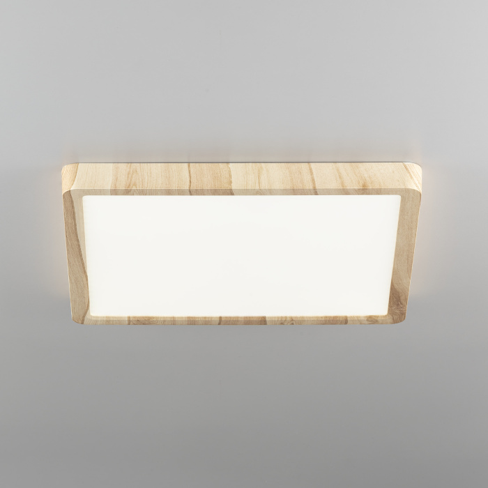 Светильник накладной Citilux Бейсик CL738K242V