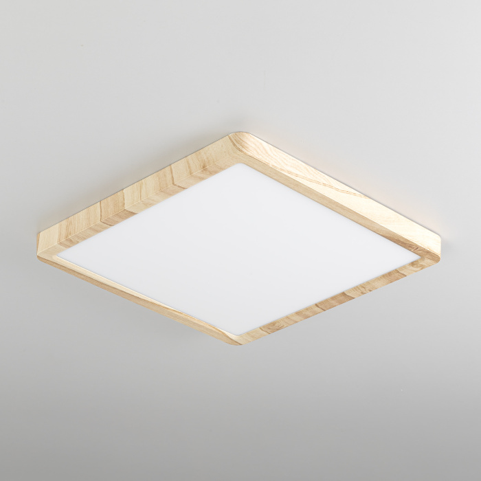 Светильник накладной Citilux Бейсик CL738K242V