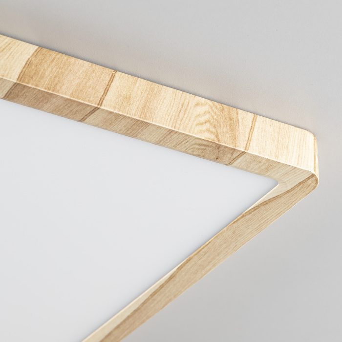 Светильник накладной Citilux Бейсик CL738K242V