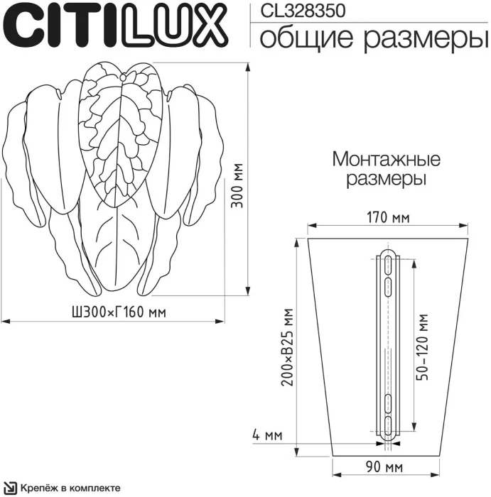 Настенный светильник Citilux Hasienda CL328350