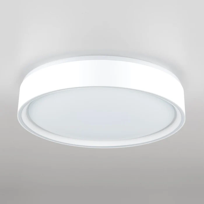 Потолочный светильник Citilux Boss CL751250G