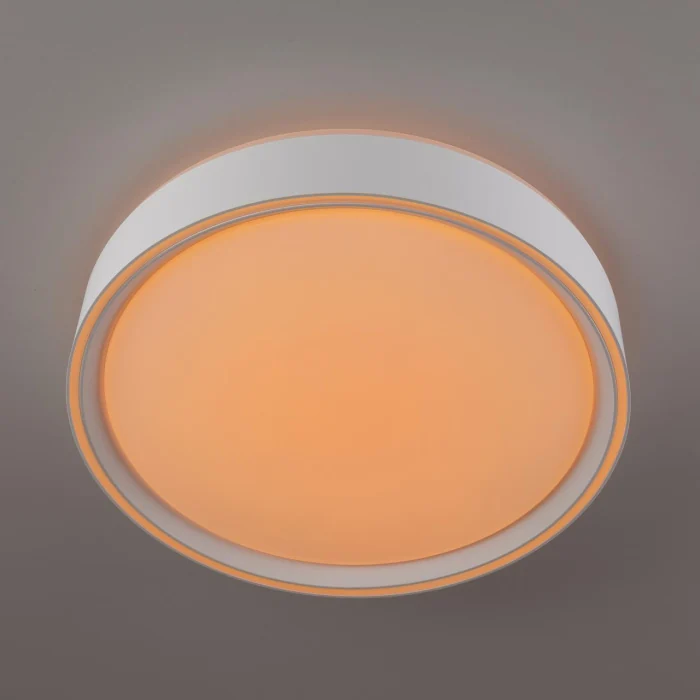 Потолочный светильник Citilux Boss CL751250G