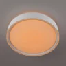 Потолочный светильник Citilux Boss CL751250G