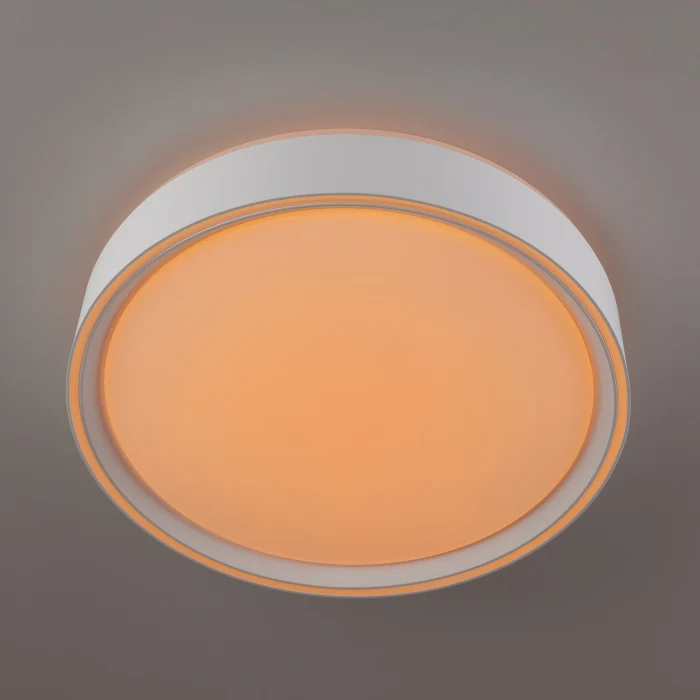 Светильник потолочный Citilux BOSS CL751250G