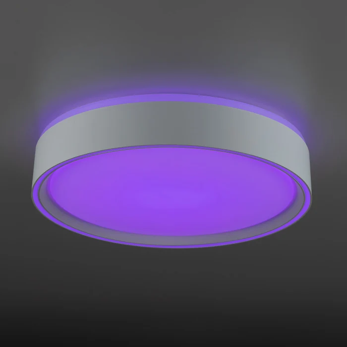 Светильник потолочный Citilux BOSS CL751250G