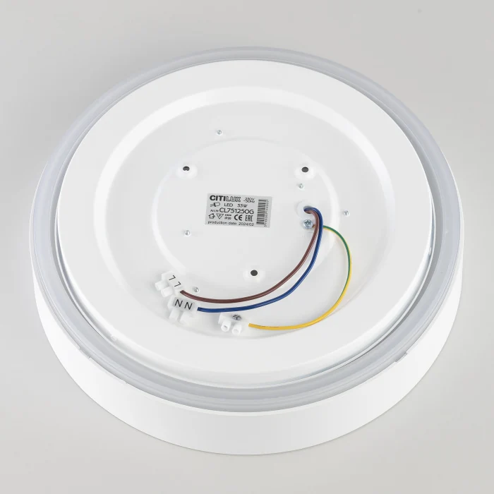 Светильник потолочный Citilux BOSS CL751250G